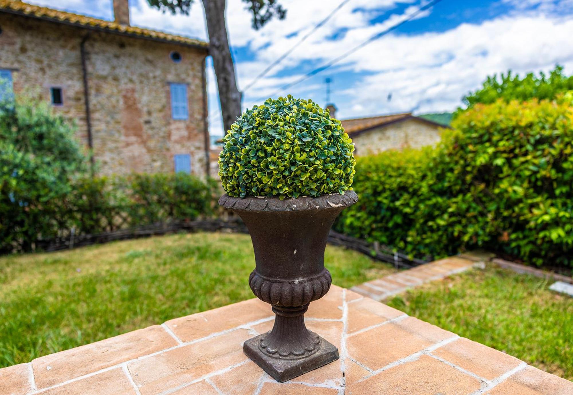 Un Petit Paradis Castiglione della Valle Exterior foto