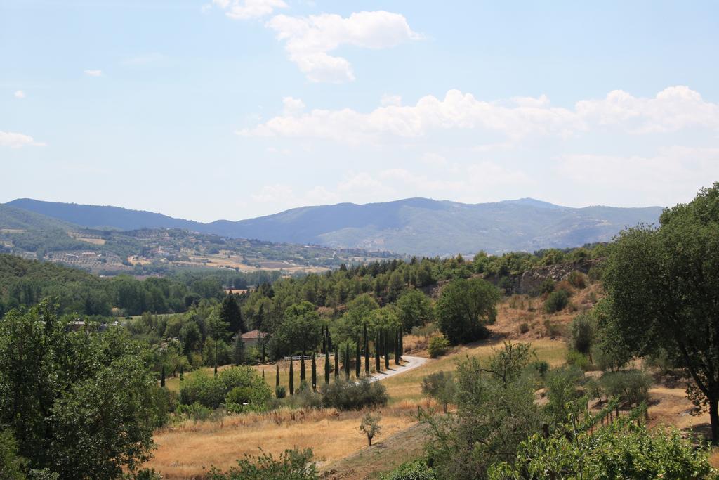 Un Petit Paradis Castiglione della Valle Exterior foto